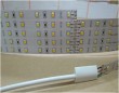 Changeable CCT 2835 60leds/m LED Strip Light