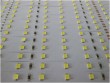 SMD2835 60leds/m Flexible LED Strip Light