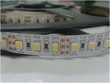 CW+WW 3527 120leds/m LED Strip Light