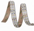 Changeable CCT 3528 240leds/m Flexible LED Strip