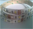 5050RGB+5050W 60leds/m LED Strip Light