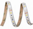 5050RGB+5050W 72leds/m LED Strip Light